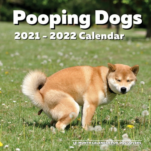 2020 Pooping Pooches White Elephant Gag Gift Calendar 